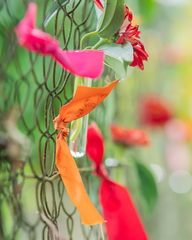 photo la joïa cérémonie laïque 01.png